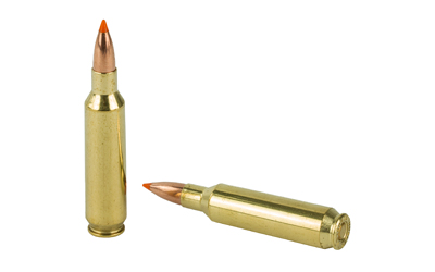 NOSLER 22NOS 55GR BT 20/200-img-3