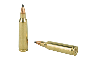 NOSLER VG 22-250 55GR FB TIP 20/200-img-3