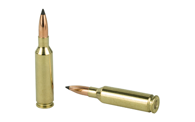 NOSLER VG 6MM CM 70GR FB TIP 20/200-img-3